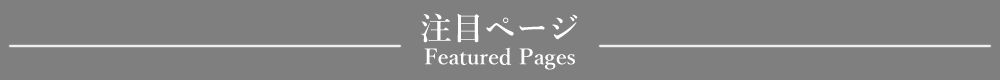「注目ページ」見出しデザイン