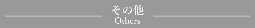 「その他」見出しデザイン